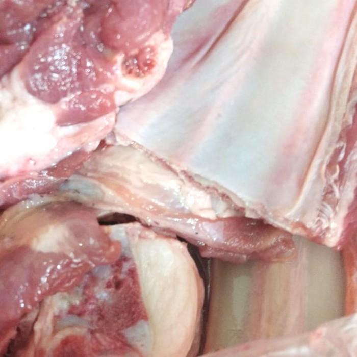 

Meat | Daging Iga Kambing 1Kg(Grab/Gojek Instant)