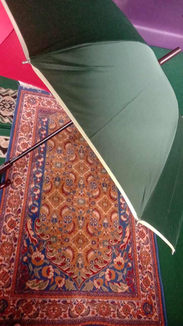 Tabasa Payung Panjang Polos Std Plastik