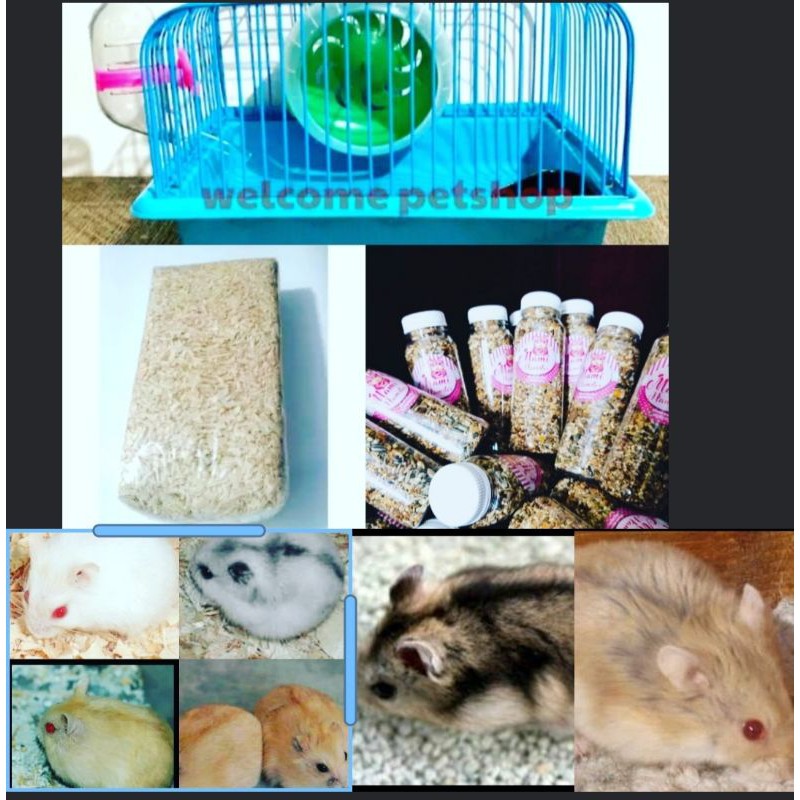 Paket Ekonomis set kandang hamster winter white pearl saphire Tiger argente golden dapat semua