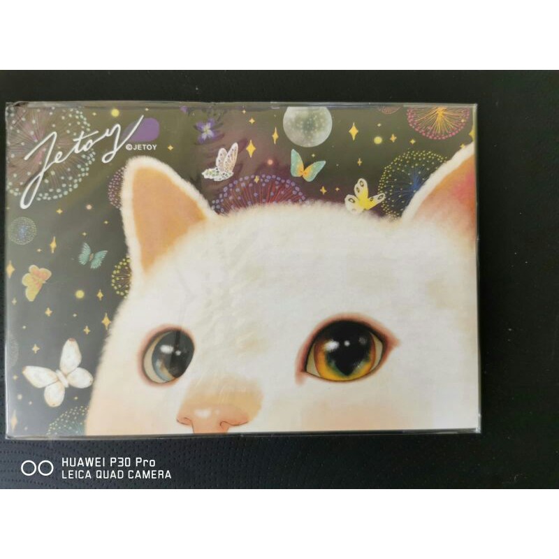 

kartu pos kucing/cat postcard