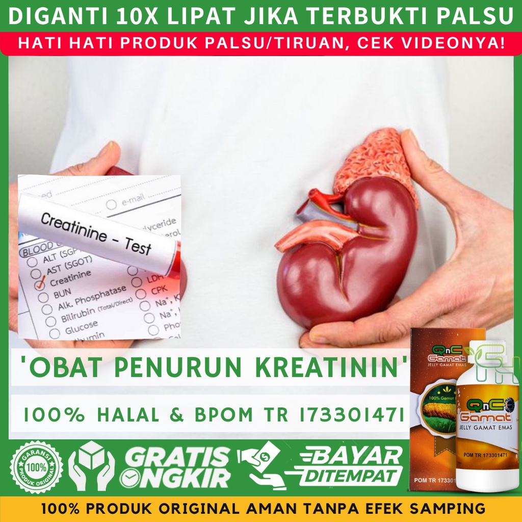 QNC Jelly Gamat Emas 100% Asli Original Obat Penurun Kreatinin, Menurunkan Kadar Kreatinin Tinggi, K