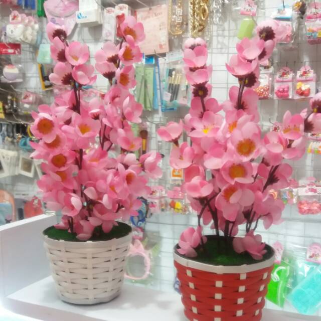 

Bunga sakura