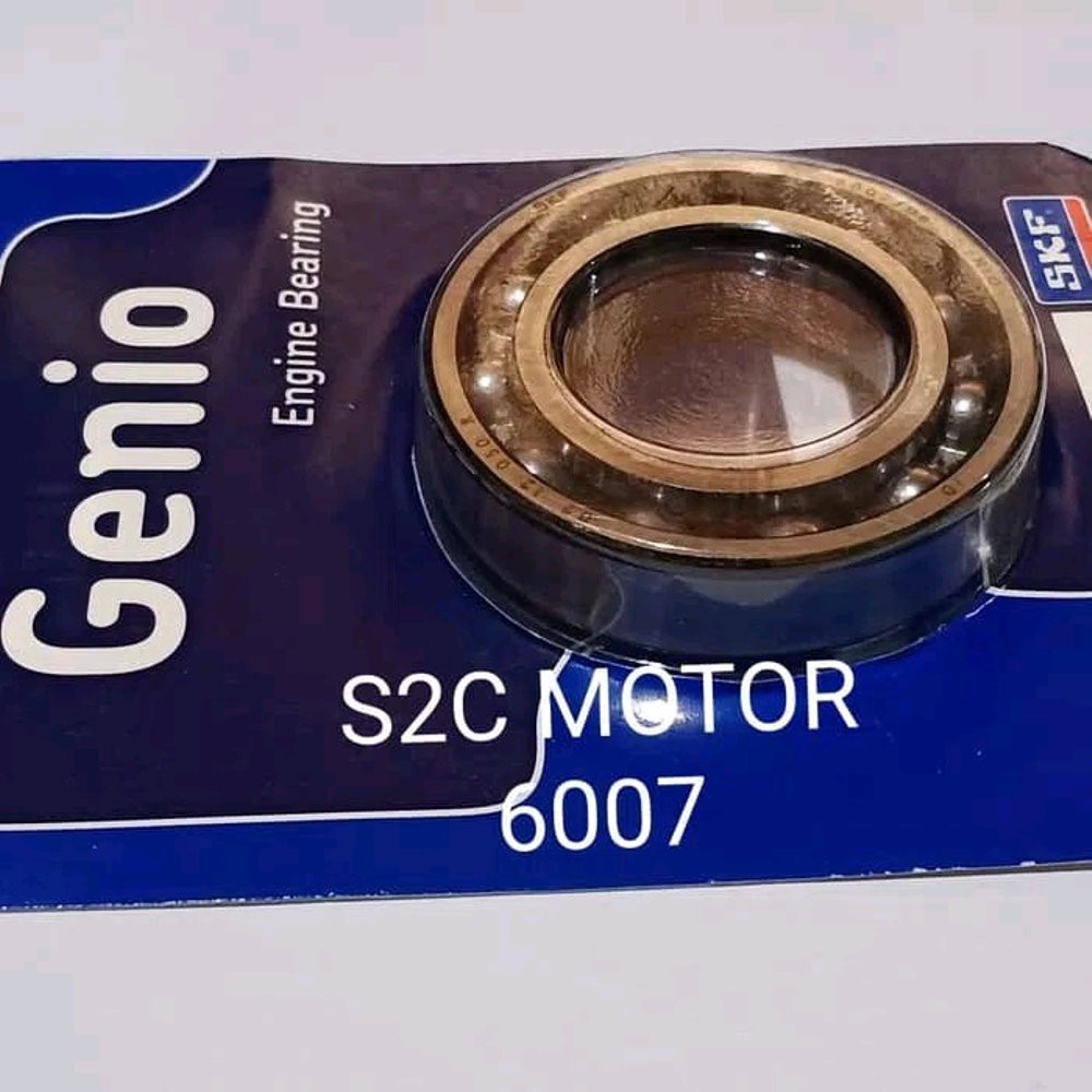 Lahar Laher Bearing 6007 SKF Genio