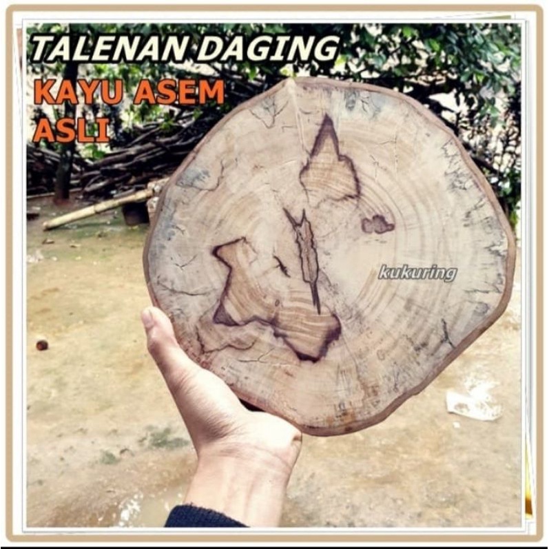 talenan kayu asem besar