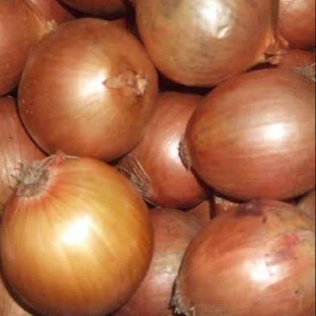 

Bawang Bombay 250 gr sayur bandung