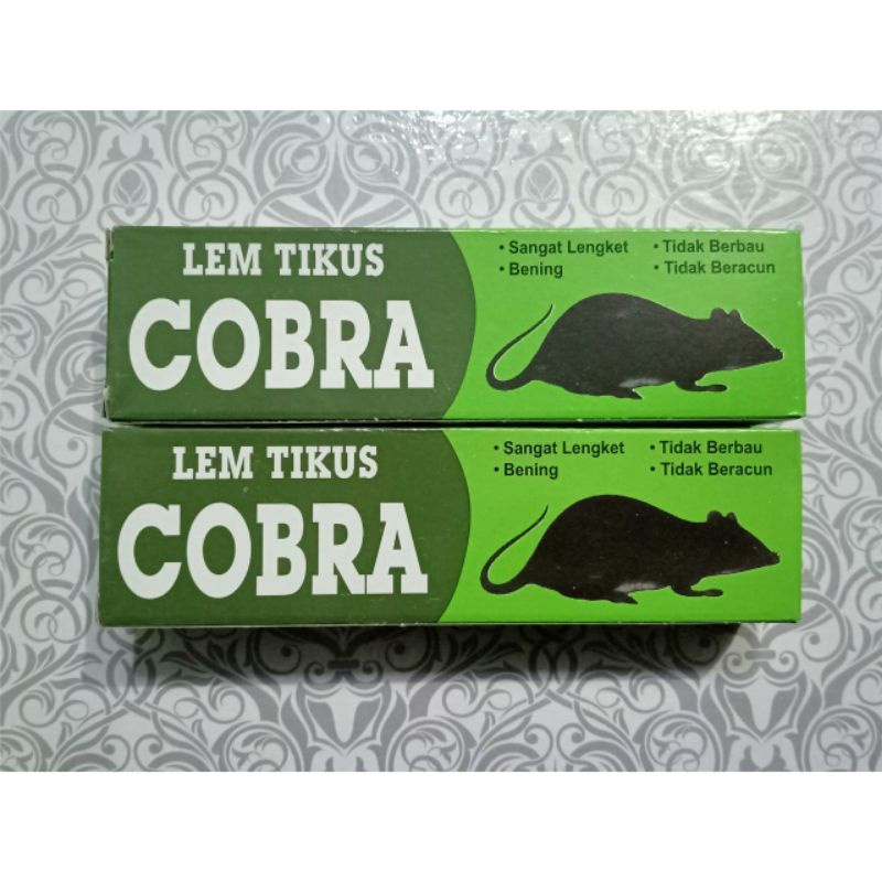 

Cobra ( Lem Tikus )