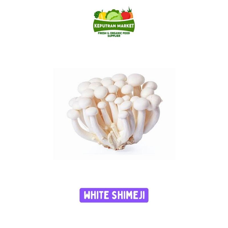 

TERMURAH !!! Jamur Shimeji Putih / White Shimeji Mushroom Per Pack / Jamur Segar
