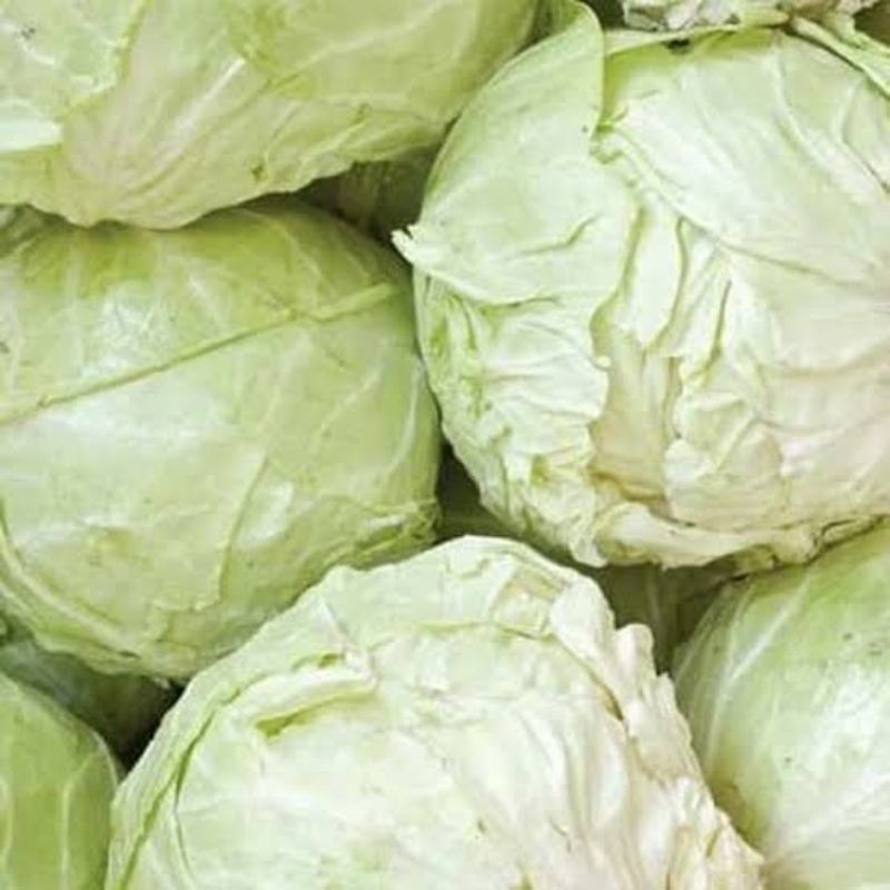 

Kol Putih Segar 500gr