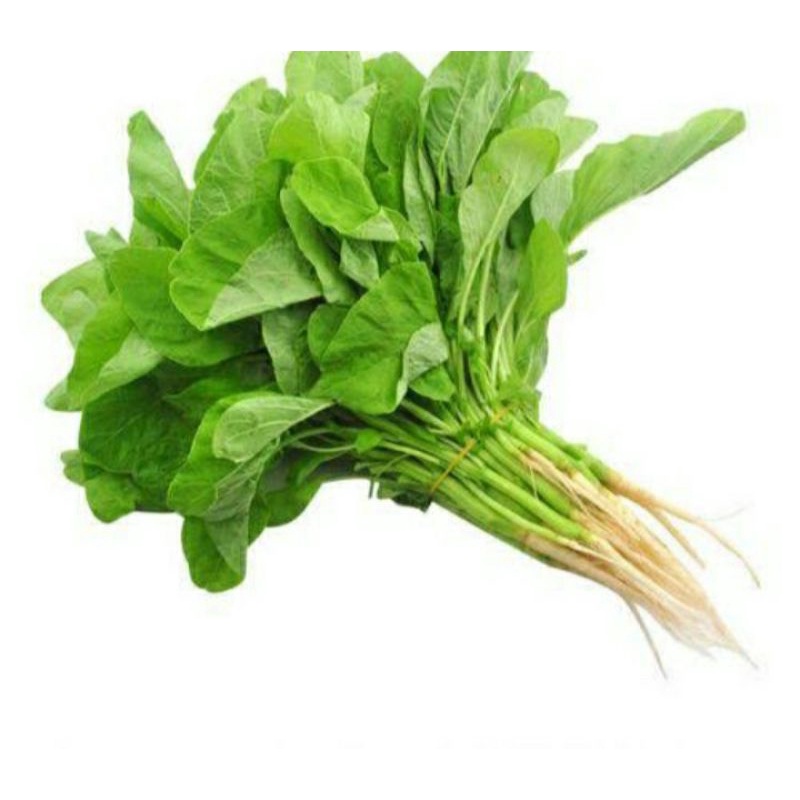 

sayur bayem