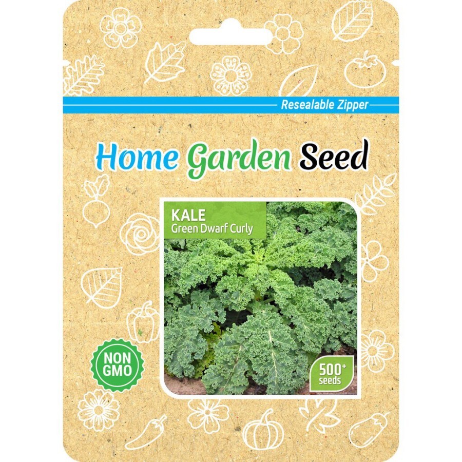 MURAH MERIAH BENIH KALE KERITING DWARF GREEN CURLED, KEMASAN ASLI