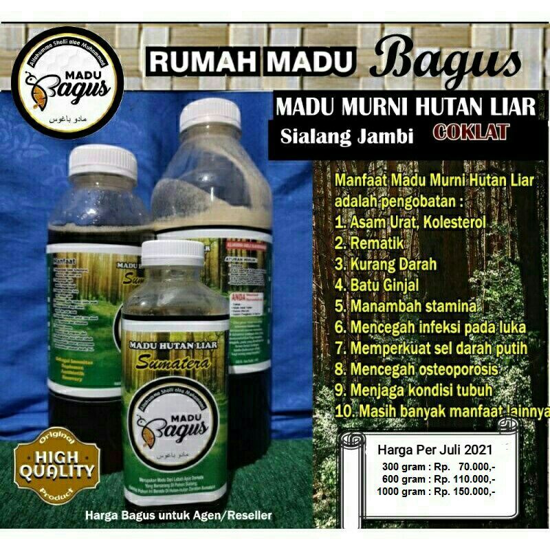 

Madu Hutan Cokelat Sialang Jambi /Madu Hutan/Madu Bagus