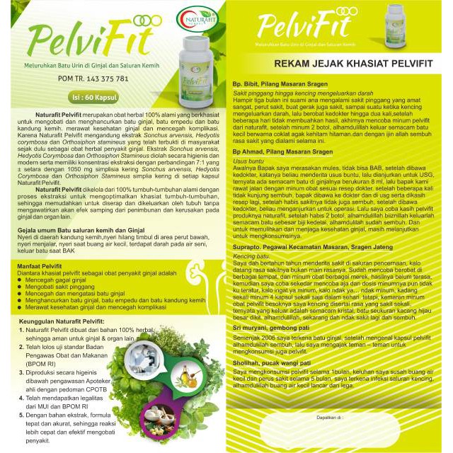 Herbal Batu Ginjal Batu Empedu Pelvifit Naturafit