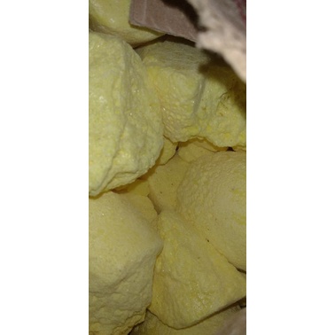 BELERANG KUNING ASLI DARI ALAM