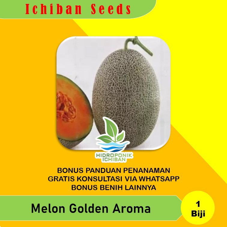 Benih Bibit Biji Melon Golden Aroma Kemasan Seribuan