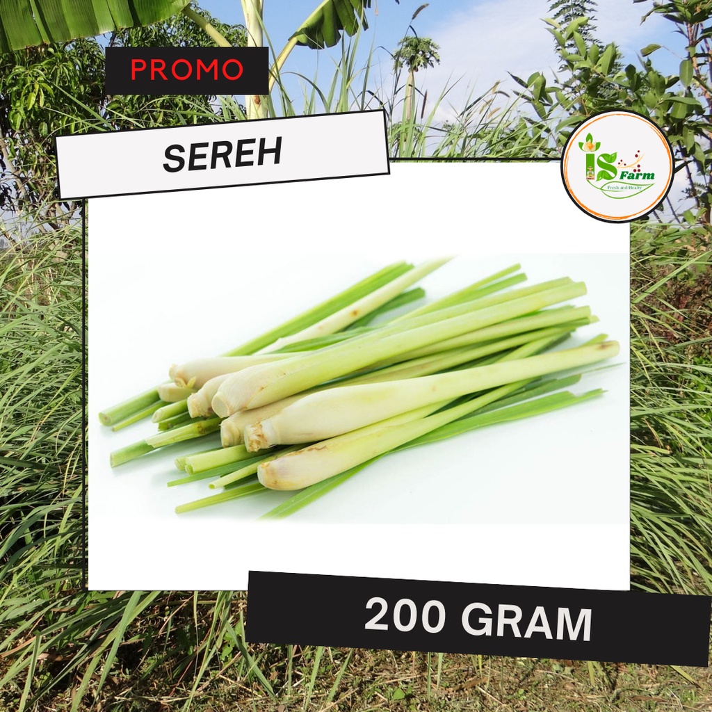 

Sereh / lemongrass 200 gram
