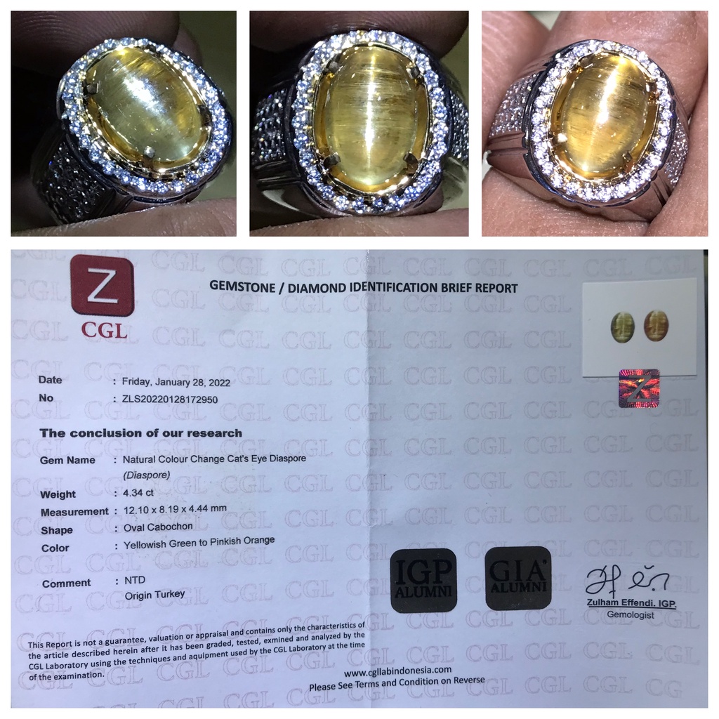 Natural 4.34ct Color Change Cat Eye Diaspore Zultanite Turkey HQ