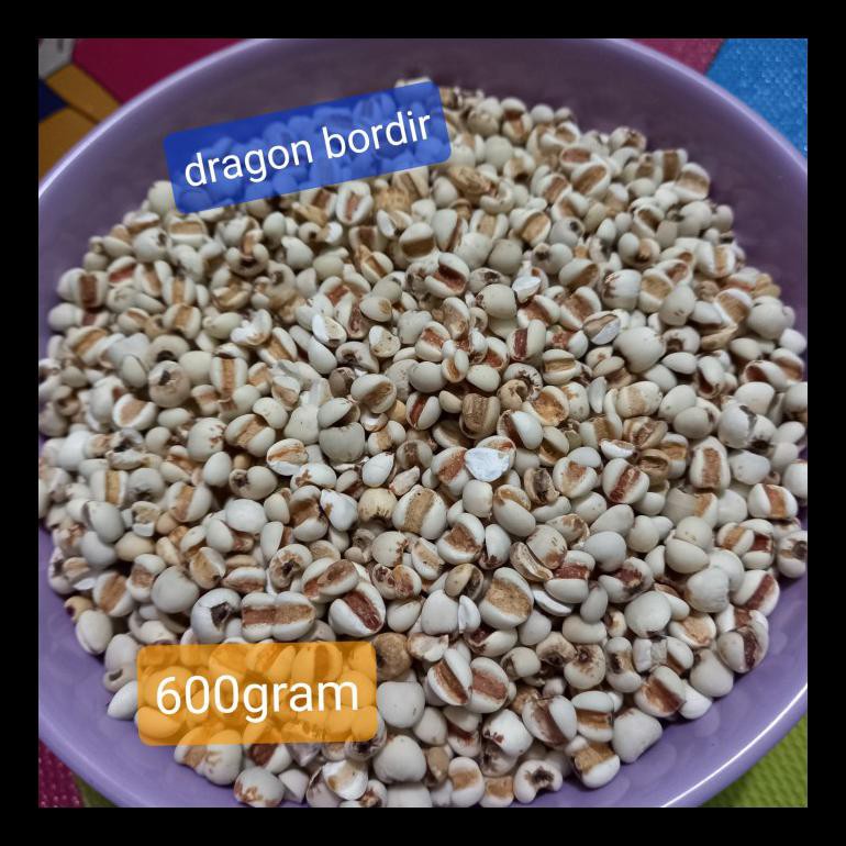 

UPDATE! BIJI JALI JALI SUPER 500GRAM/ BARLEY SUPER 500GRAM TERMURAH