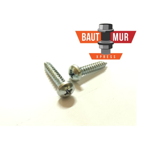 Sekrup PH 6 X 3/8" Merek Lion (100 Pcs)