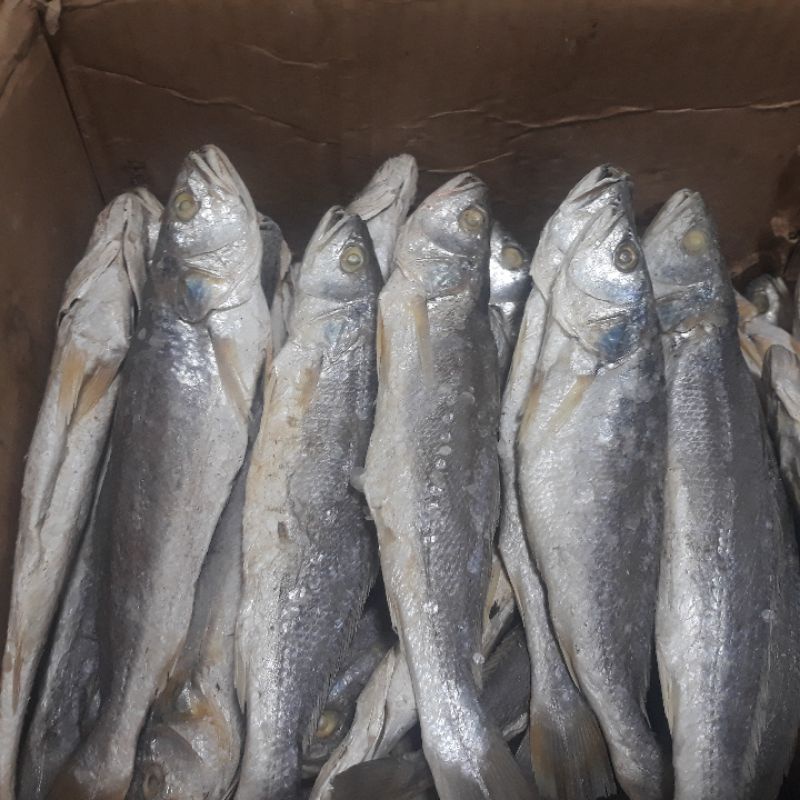 

ikan asin sanggeh medan 250g