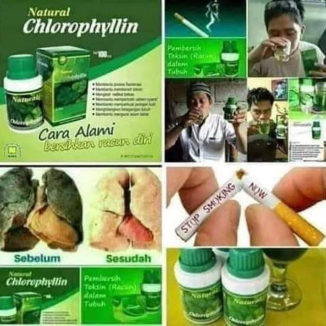 Natural chlorophyllin nasa