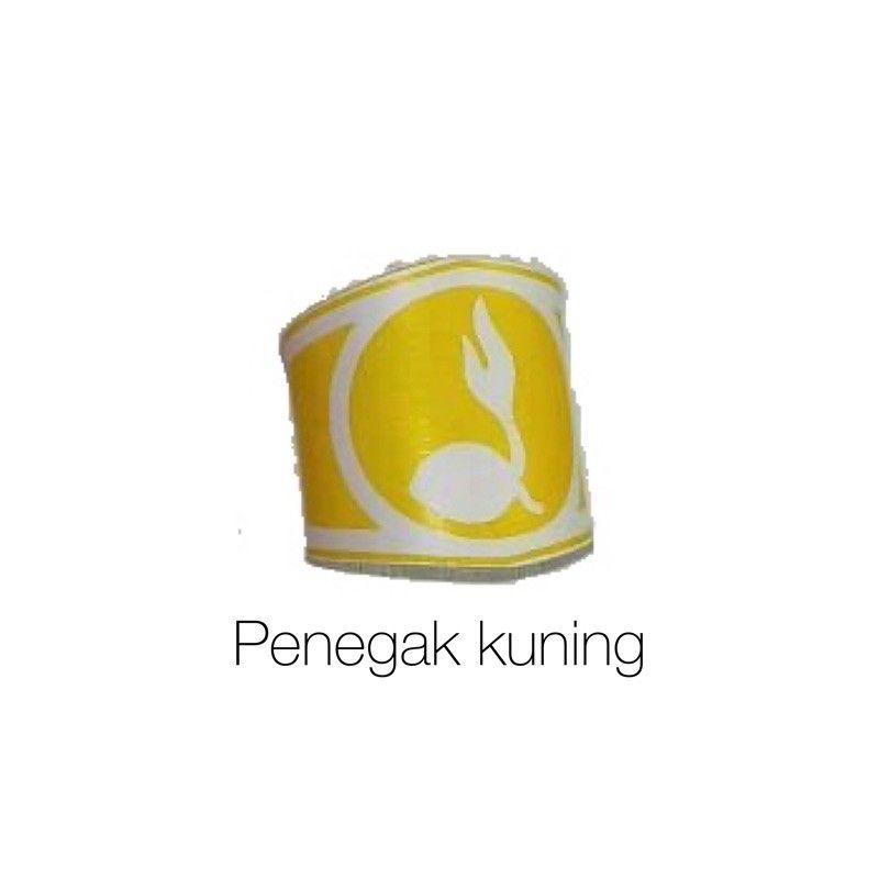 RING HASDUK PRAMUKA SIAGA , PENGGALANG , PENEGAK