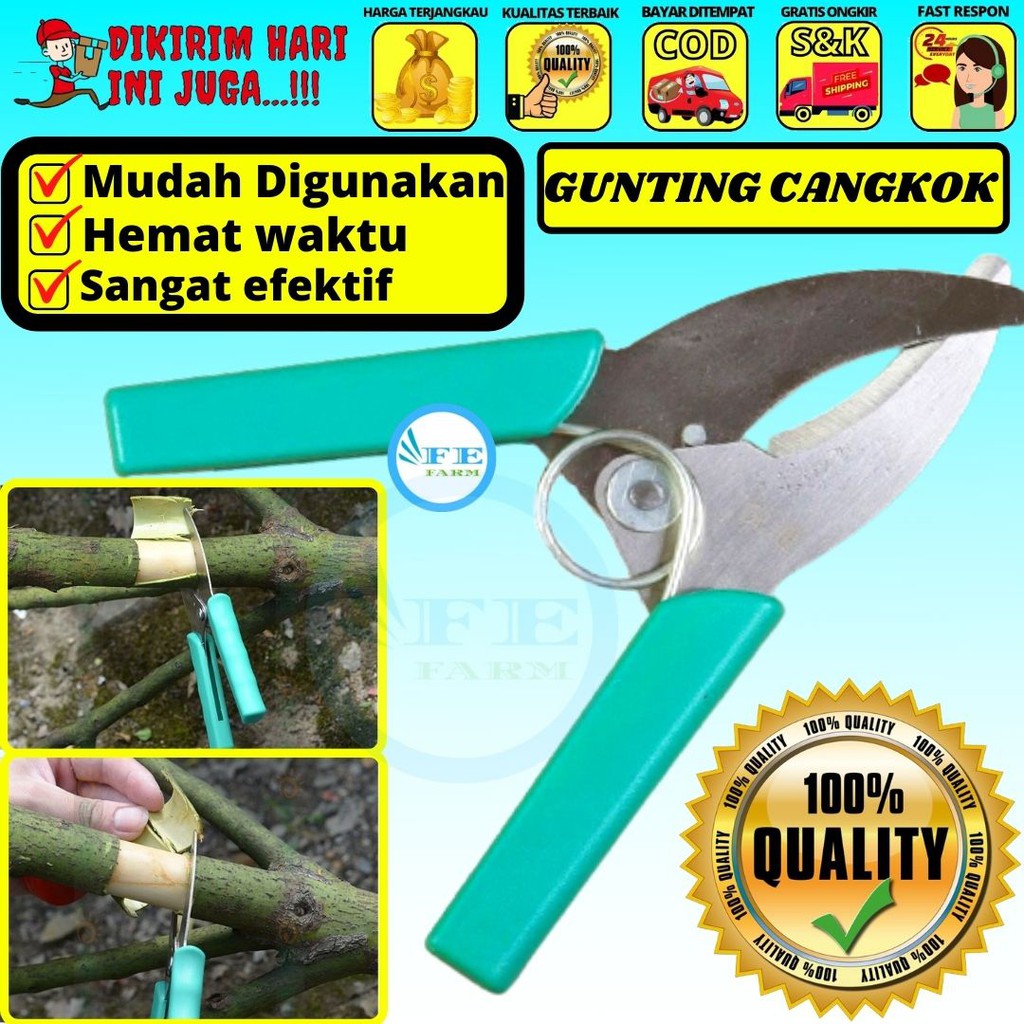 Gunting Cangkok Tanaman Bunga Hias Grafting FEFARM