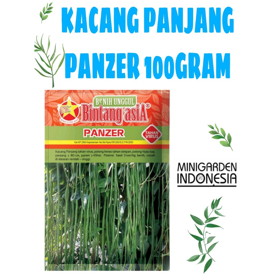 KACANG PANJANG PANZER 100GRAM PACK BESAR benih biji bibit tanaman kacang panjang f1 bintang asia