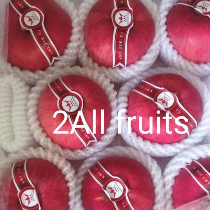 

BUAH APEL MERAH SEKAIICHI 1 DUS FH51515ED