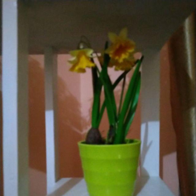 Pajangan Meja Vas Bunga Unik & Cantik - Dekorasi Tanaman Tiruan Hias Artificial - Vb24