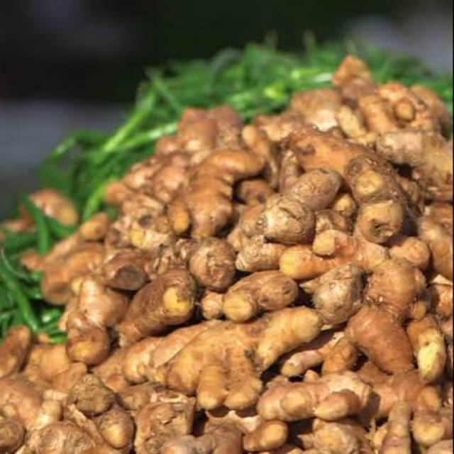 

Jahe bandung 100 gram