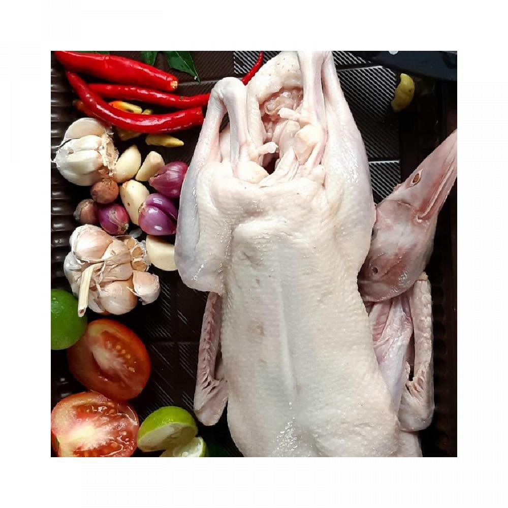 

Bebek Frozen Mentah
