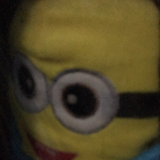 irmarobbiatuladawiyahpartii