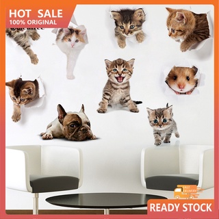 Aoli stiker tembok kucing 3d decorative 007aar  Shopee Indonesia