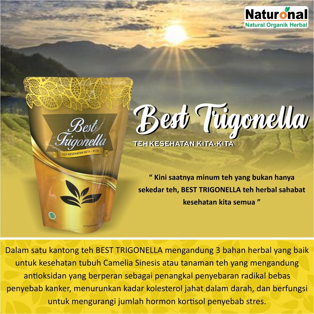 

BEST TRIGONELLA 25 Tea Bags | Teh Herbal | Minuman Teh Herbal Alami | Teh Celup | Teh Hijau Sehat