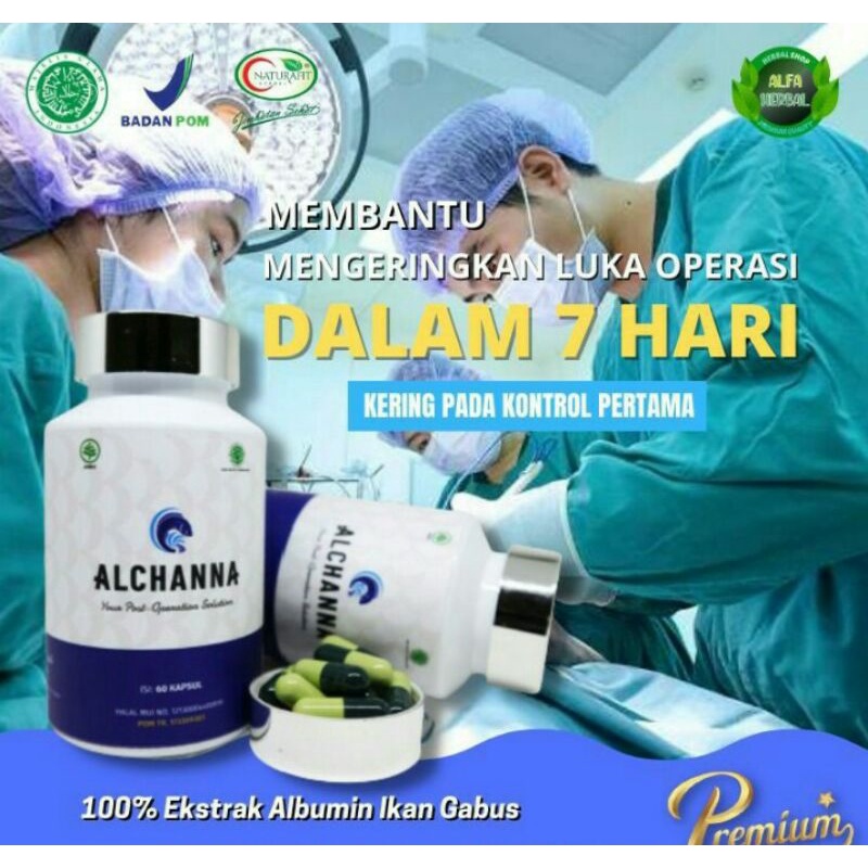 ALCHANNA ORIGINAL KAPSUL KUTUK BERKUALITAS KAPSUL EKSTRAK IKAN GABUS PREMIUM VIP ALBUMIN OBAT PASCA OPERASI CESAR SESAR GROSIR TERMURAH