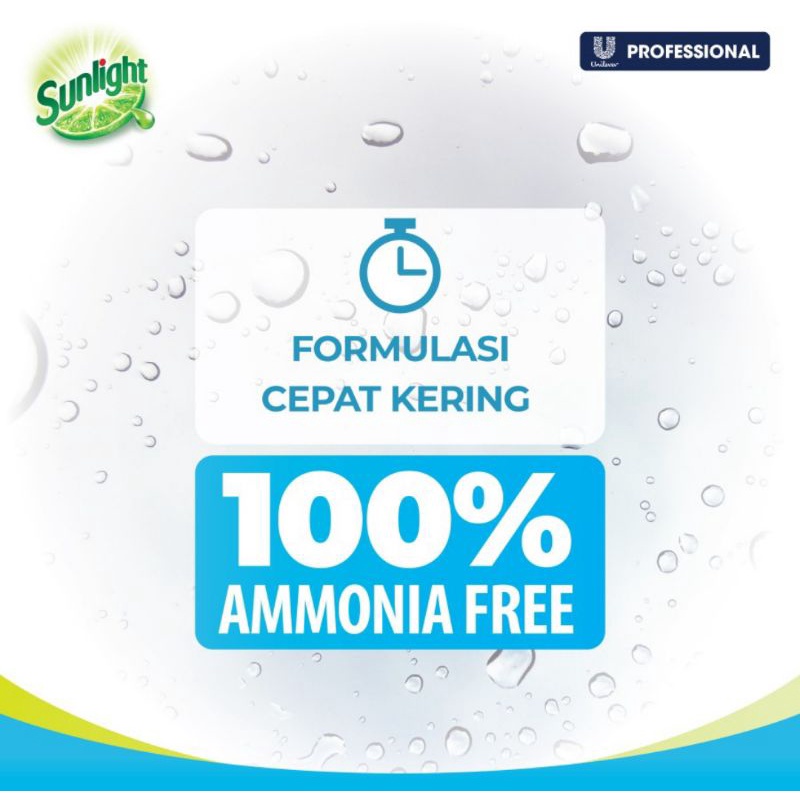 SUNLIGHT  profesional PEMBERSIH KACA  450 ml