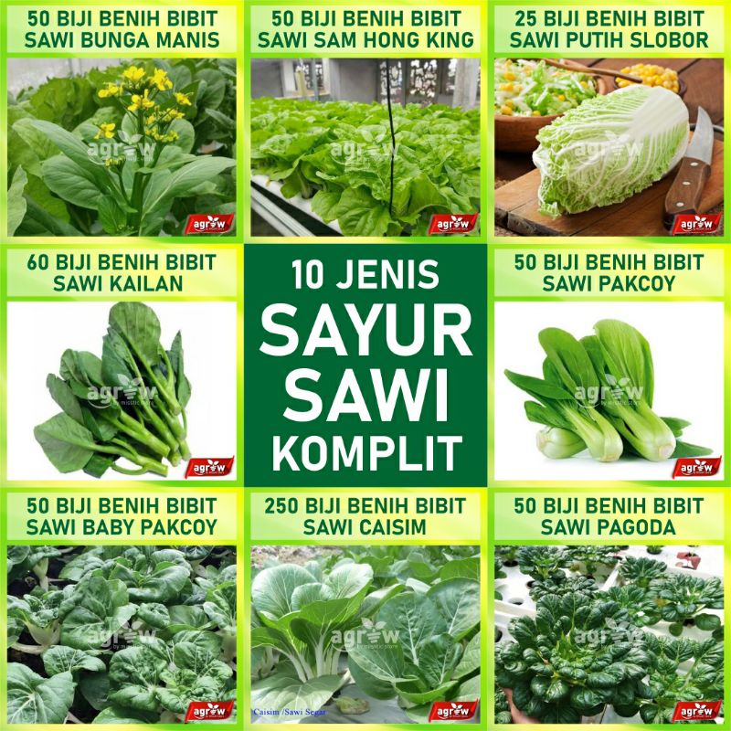 Benih Sawi Komplit 10 Macam Benih Sawi Sawian Sayuran Unggul Bibit Tanaman Sayur