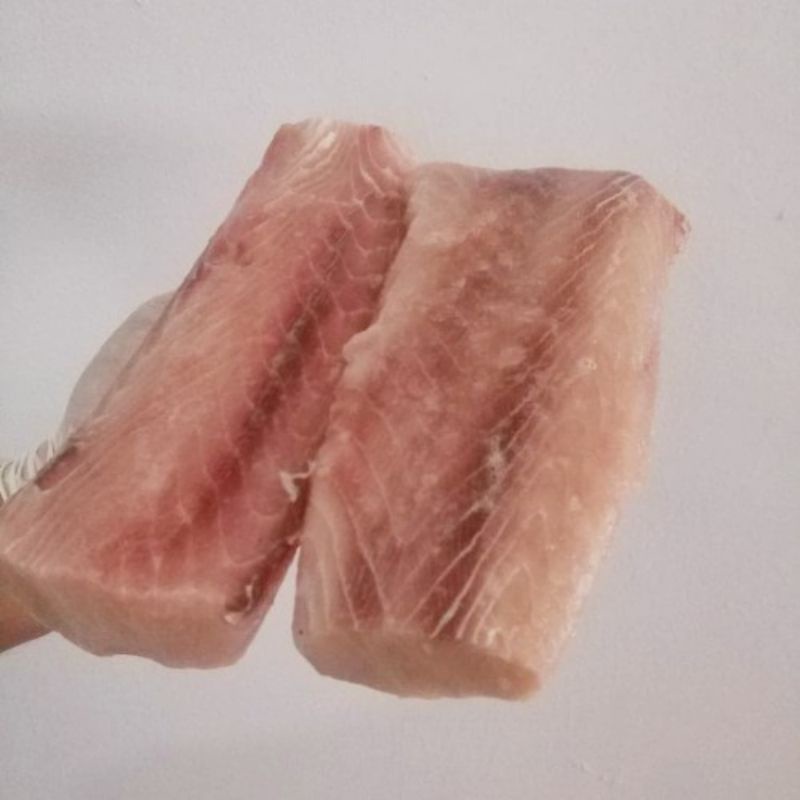 

ikan tuna