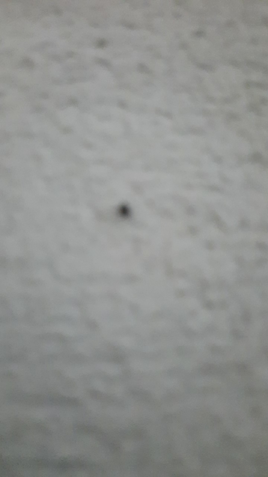 Pk537835- Saudi Choice Kamper Pengusir Tikus Kecoa Kampers Pink 40gr R4fe46es