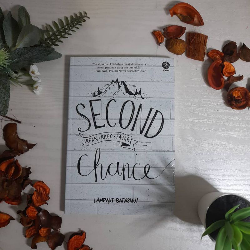 

Novel Second Chance