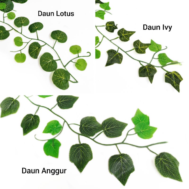 Seuntai AL90 Daun Rambat 2Warna 2,3m Anggur Lotus Ivy Hiasan Dinding