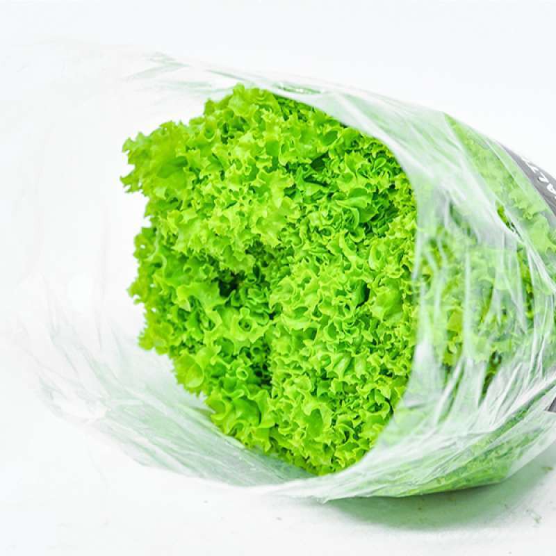 

SELADA LALAPAN FRESH