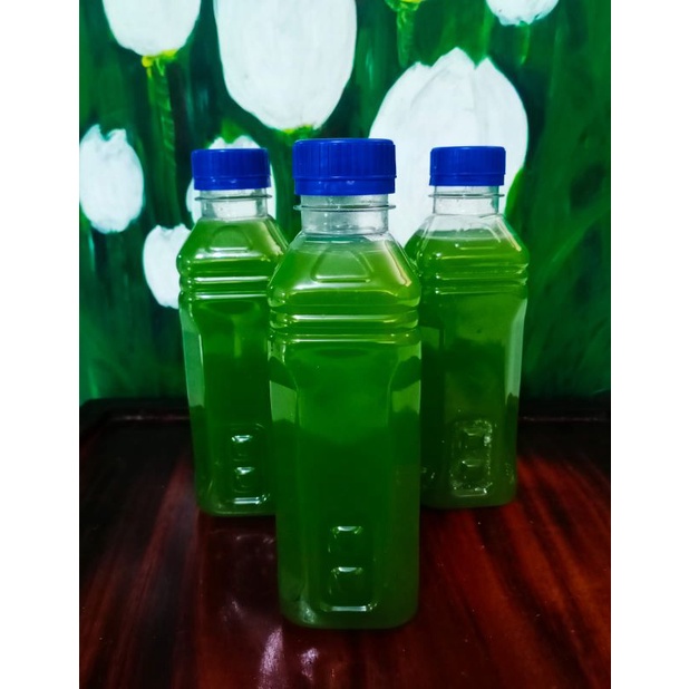 PSB HIJAU 250ML
