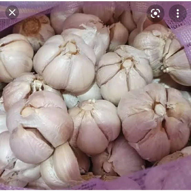 

Bawang putih pilihan / Berkualitas
