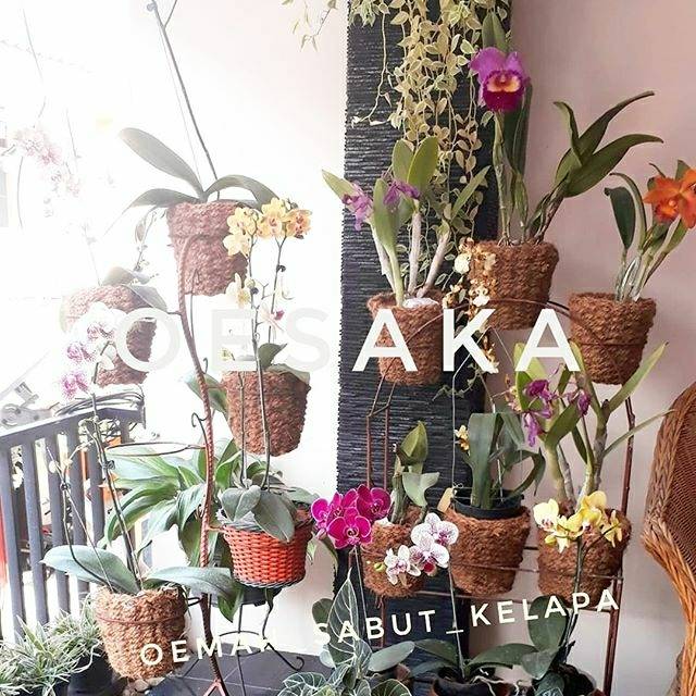 Pot tanaman hias anggrek anyaman sabut kelapa cocofiber Pot tanaman hias anggrek anyaman sabut kelapa cocofiber