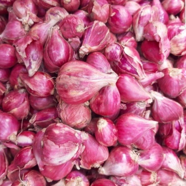 

New! Bawang Merah Brebes Besar 1 Kg !!