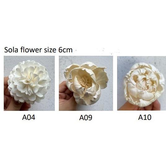 Sola Wood Flower 1Pack(10Steam)/Mini Sola Flower/Bunga Sola