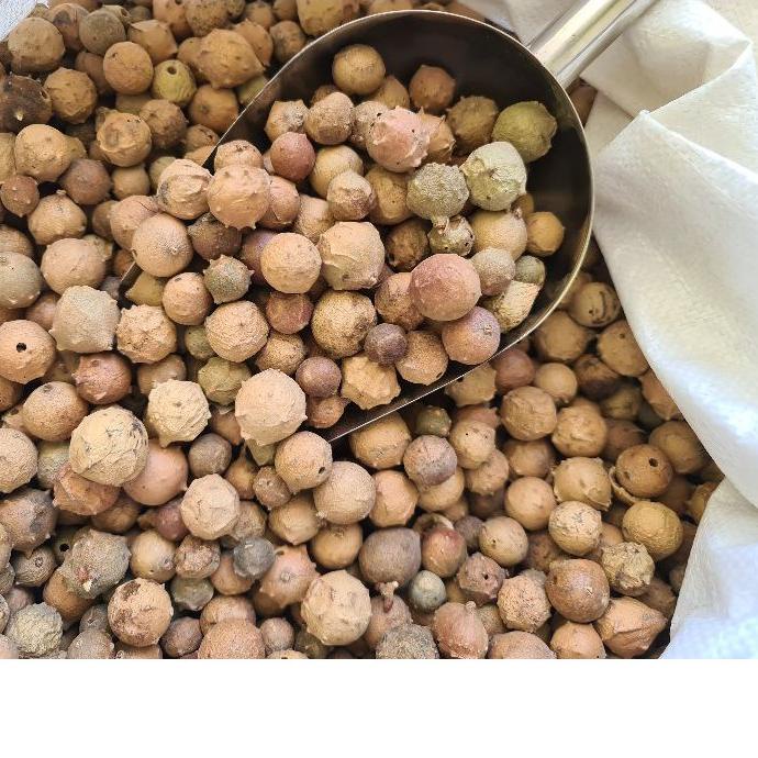 

Big Sale - Buah Manjakani 1kg / Buah Majaan / Buah Majakani Kualitas ✔