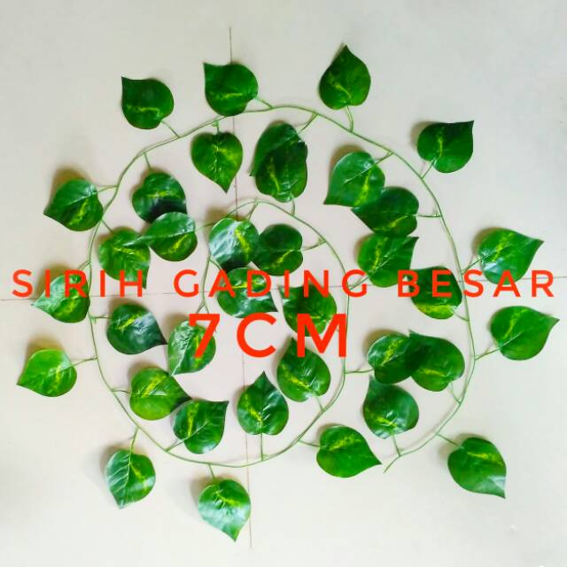 DAUN RAMBAT HIAS SIRIH GADING BESAR 7CM 100 B8311