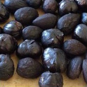 minyak kemiri bakar black original menyuburkan rambut